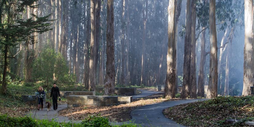 Presidio Hiking Trails