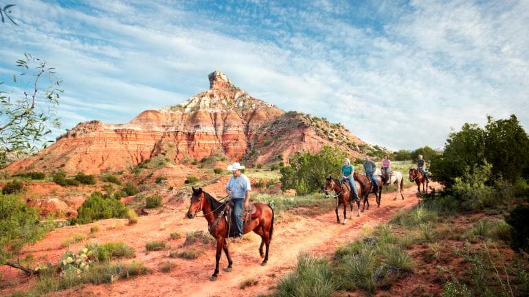Texas Horse Park Trail Ride